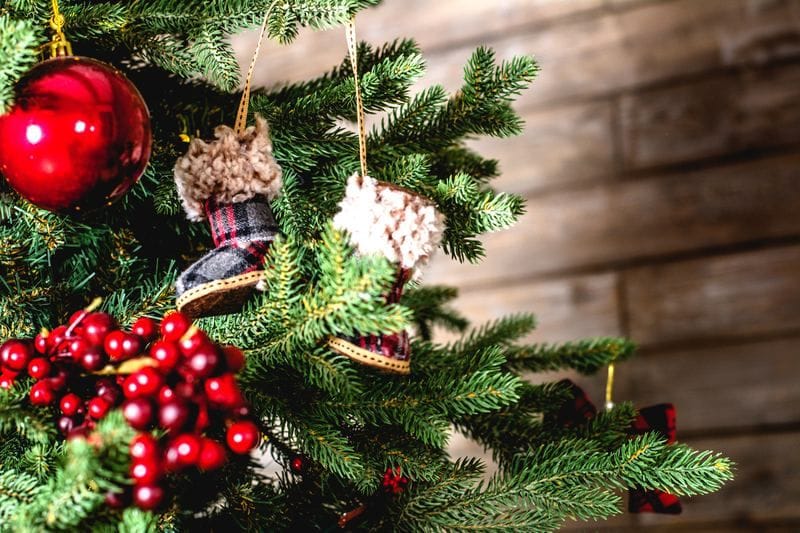 Christmas Gift Certificates Christmas Gift Certificates